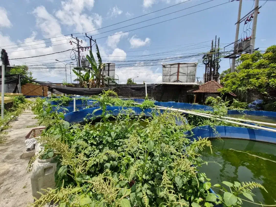 TANAH DIJUAL SEBELAH KFC CARGO PERMAI DENPASAR - Image 6 of 6