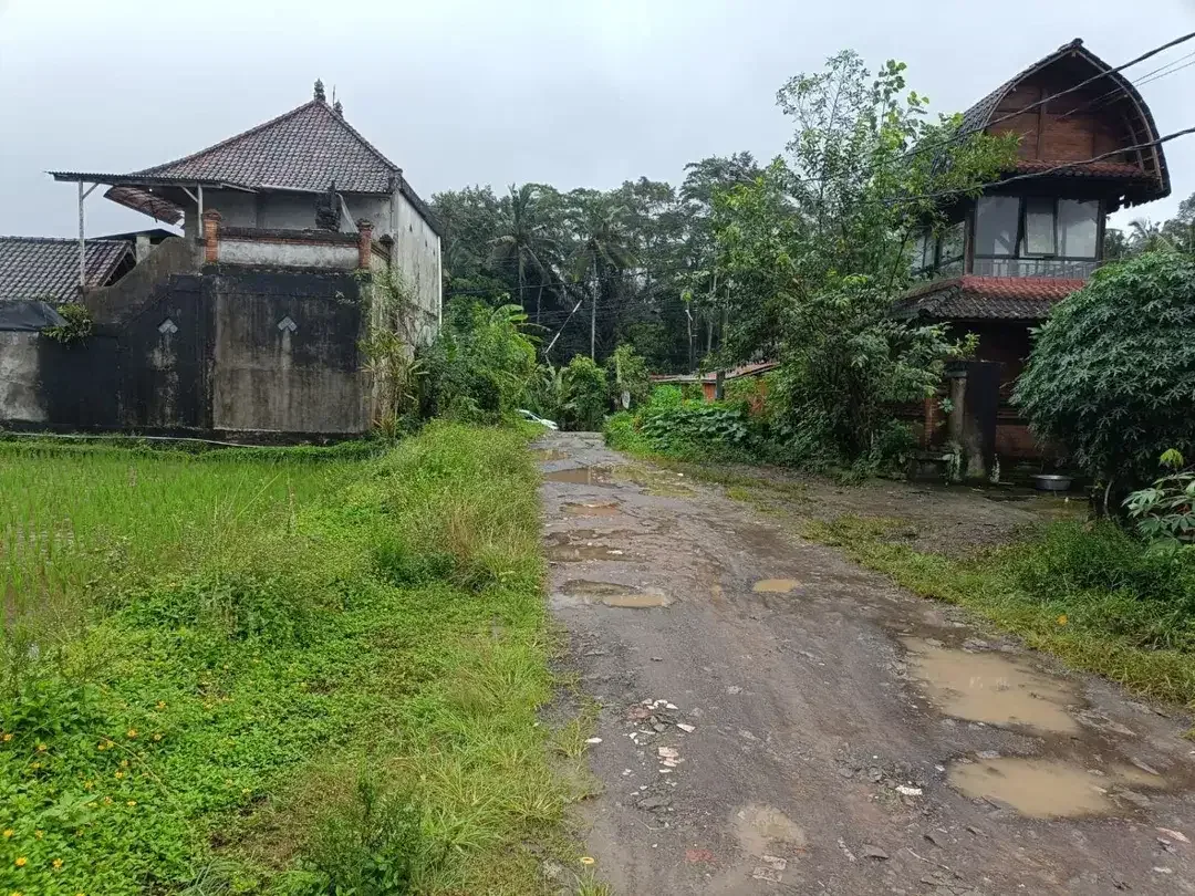 Tanah kavling besar 6,6 Hektar di Payangan, Ubud - Image 8 of 9