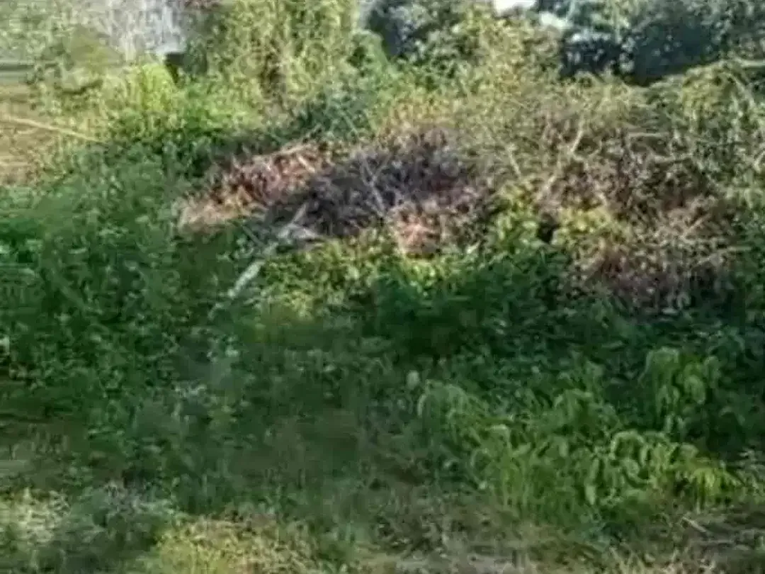 tanah lokasi strategis dan zona kuning - Image 4 of 5