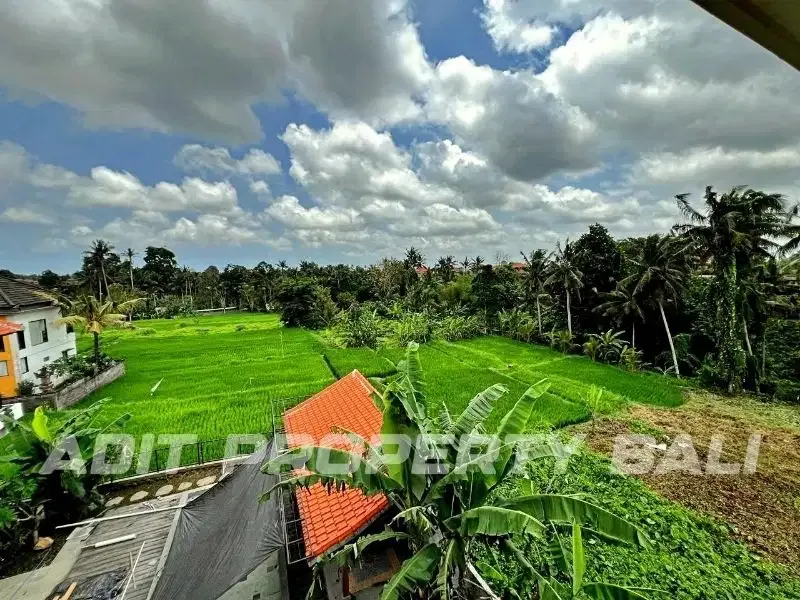 Tanah Los Sungai Tirta Tawar Ubud Gianyar Bali - Image 5 of 10