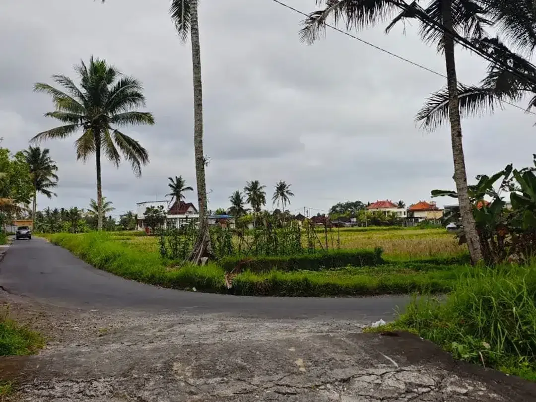 Land for sale in Ubud, Bali - Image 2 of 8