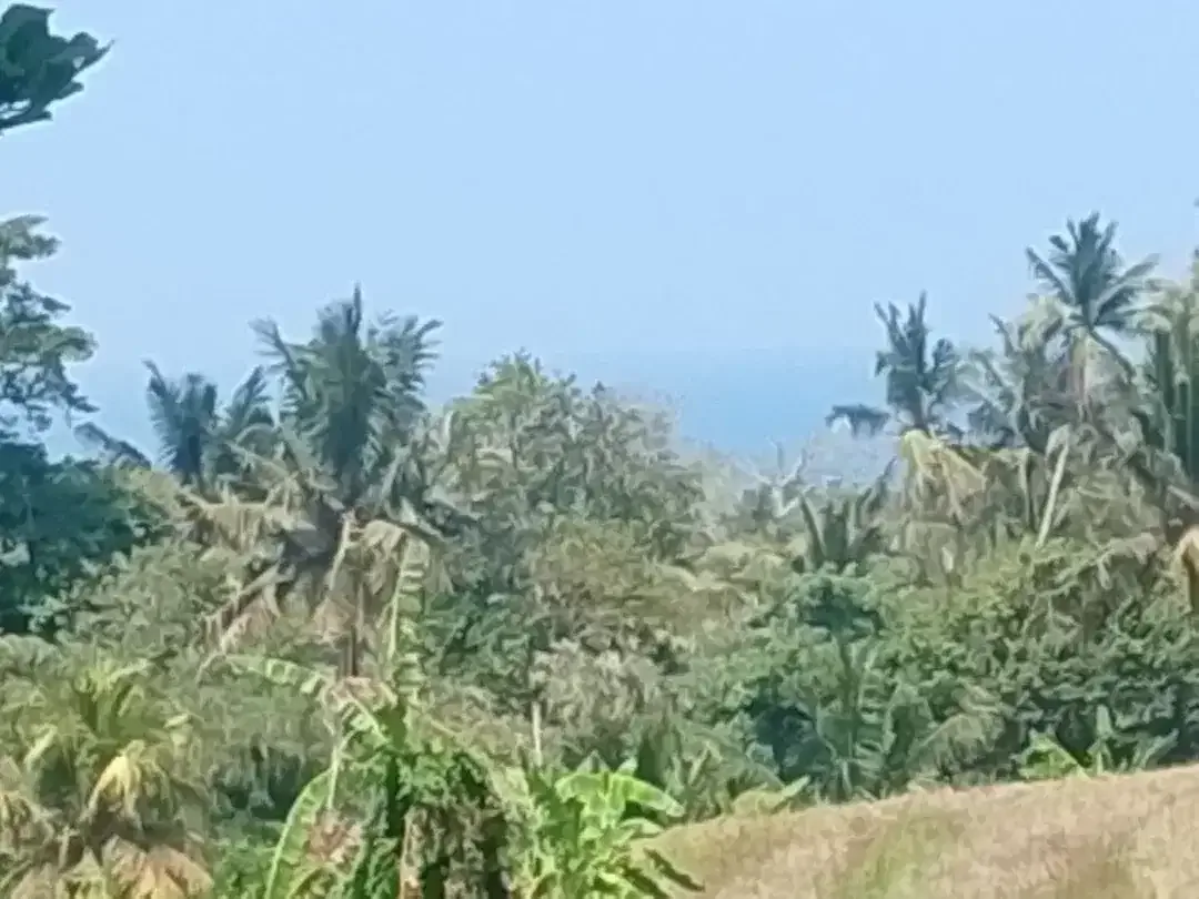 DIJUAL TANAH STRATEGIS – ANTAP, SELEMADEG, TABANAN - Image 6 of 8