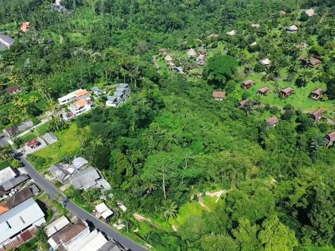 Tanah Lokasi Strategis Sebatu Ubud - Image 5 of 9