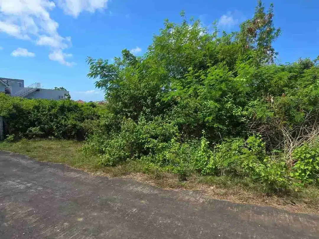Dijual Tanah 272m² Premium dan Murah di Kuta Selatan - Image 5 of 6