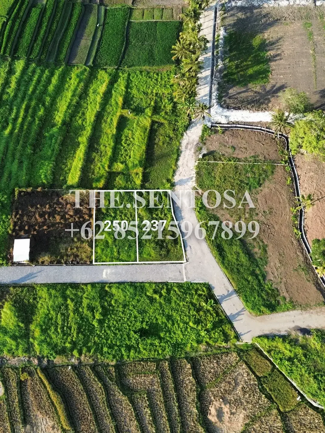 TANAH SIAP BANGUN KEDUNGU dekat NUANU - Image 2 of 9