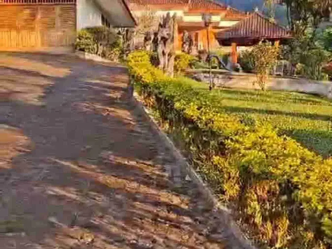 Full View Danau Buyan 5.200m² Bonus Rumah Style Villa - Image 8 of 10