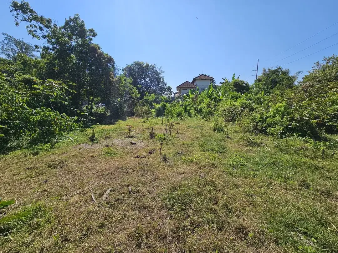 Prime Land Opportunity - Freehold Land in Strategic Kesiman Kertalangu - Image 2 of 9