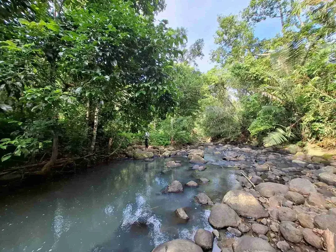 Dijual tanah murah los sungai dekat villa di bali - Image 1 of 10