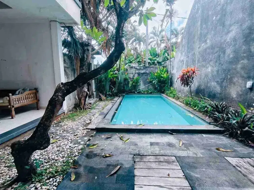 Villa murah 2 unit kuwum kerobokan - Image 4 of 9