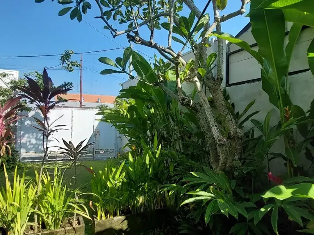 Freehold - Villa in canggu with big garden in Seseh, Canggu - Image 8 of 10