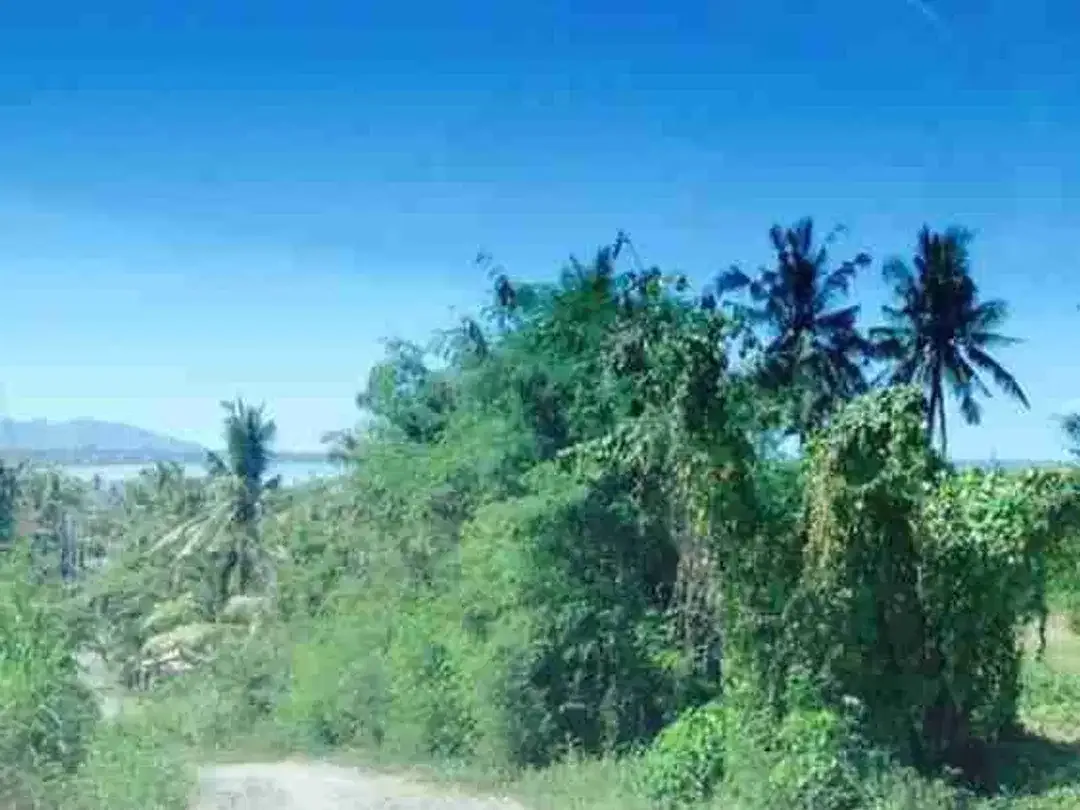 Termurah tanah di by pass ida bagus mantra samping taman safari bali - Image 4 of 8