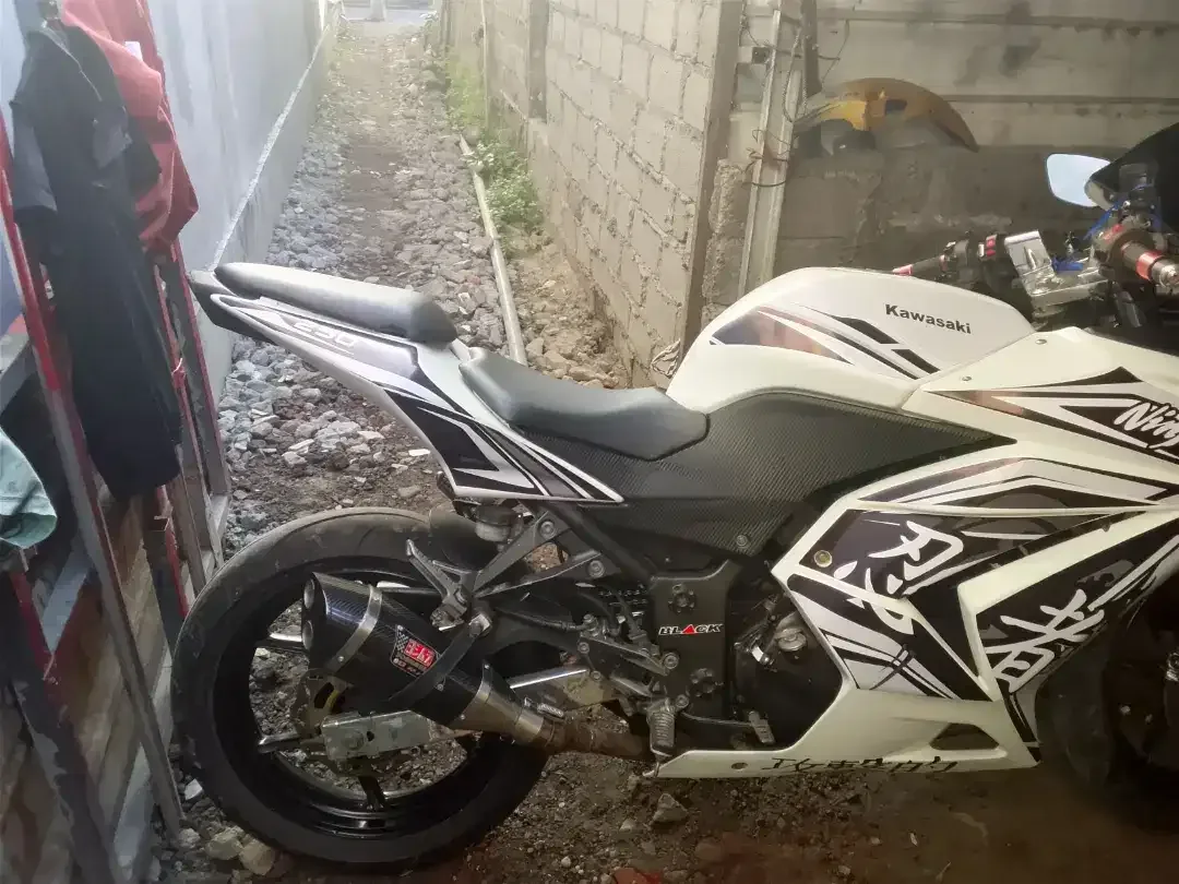 Ninja karbu 250cc - Image 5 of 5