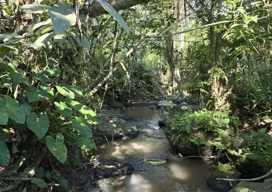 Tanah kebun view sawah dan los sungai kecil akses jalan hotmix - Image 3 of 7