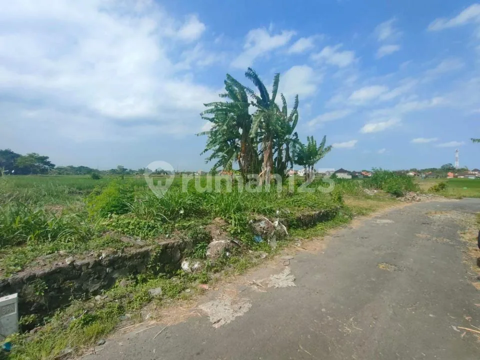 Tanah 215 MÂ² di Kedungu Tabanan View Sawah Lingkungan Villa - Image 3 of 4