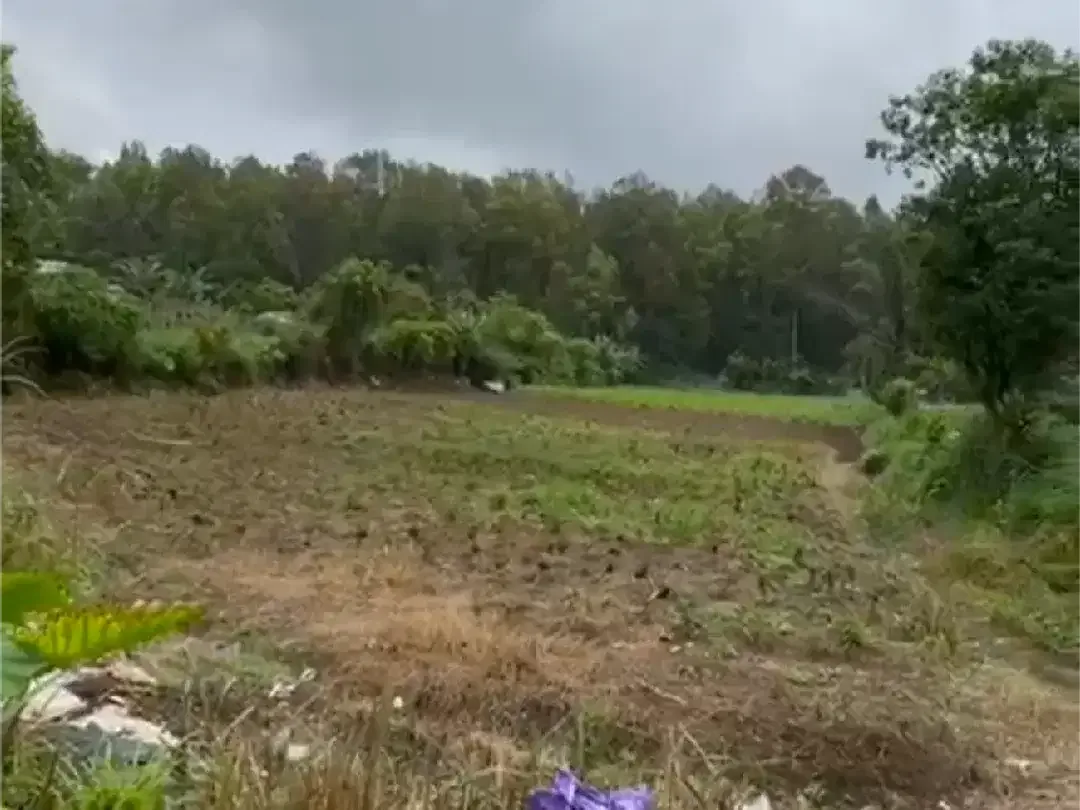 JUAL TANAH DI KAWASAN WISATA BEDUGUL - Image 1 of 4
