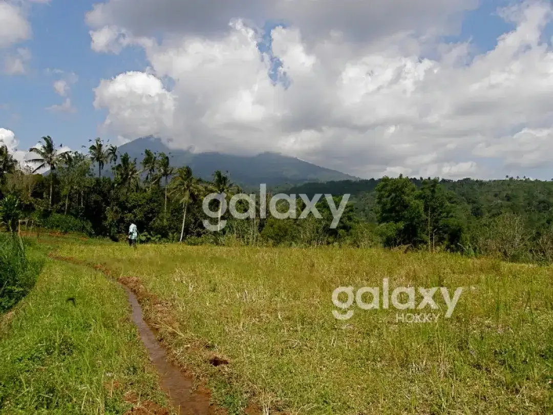 DIJUAL TANAH BR PAKA SANDA PUPUAN TABANAN, BALI - Image 4 of 6
