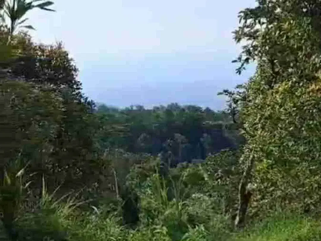 Tanah Strategis cocok untuk villa dekat Tower Turyapada - Image 3 of 10