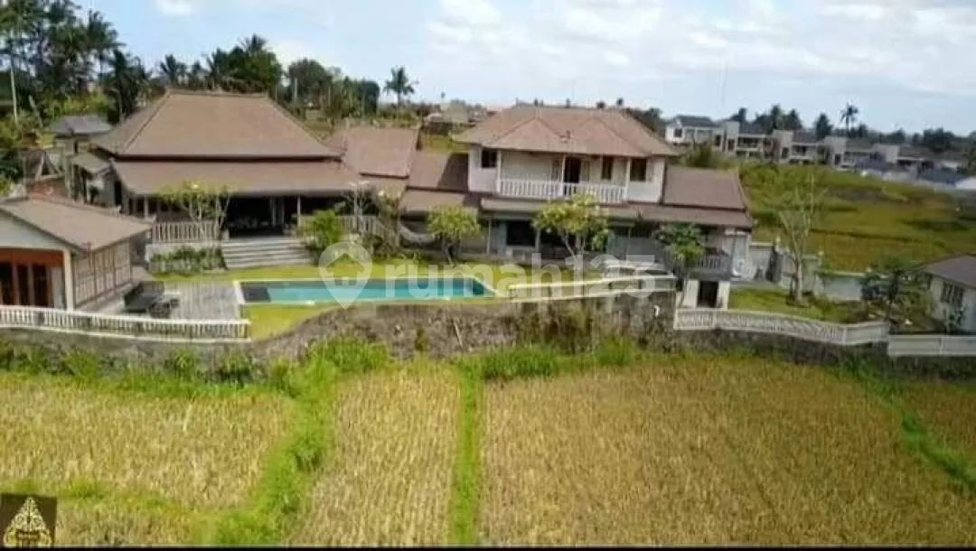 Villa Dijual Lokasi Pejeng Ubud - Image 3 of 4