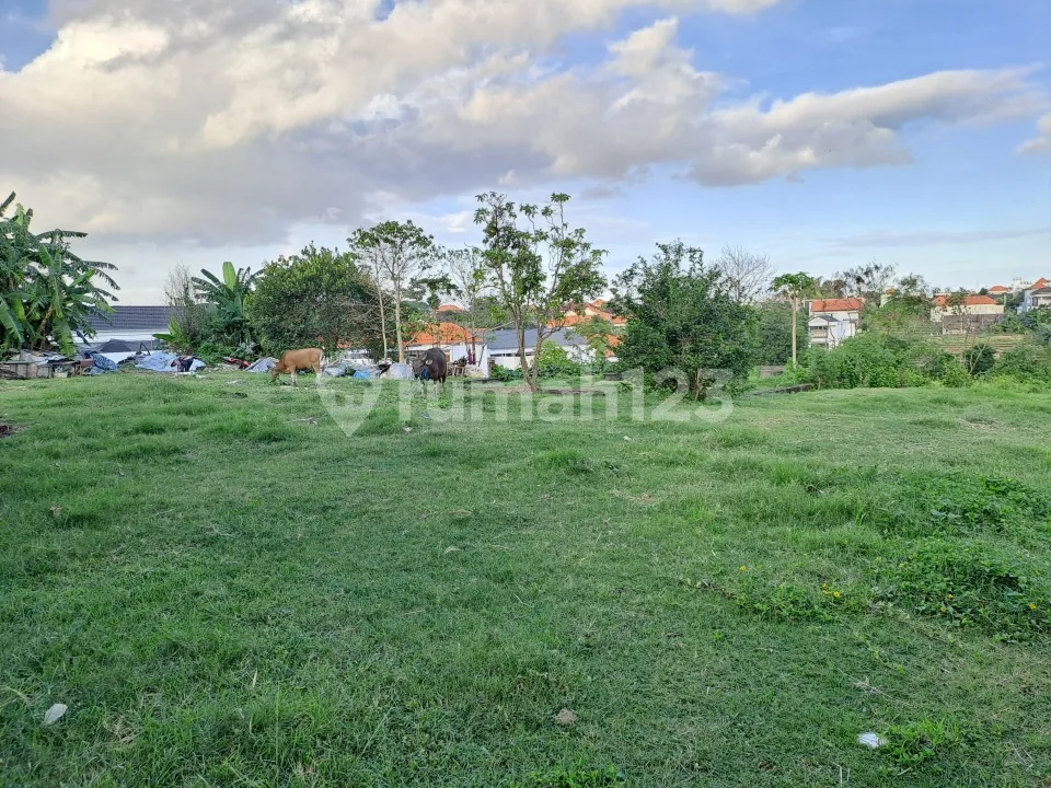 Tanah di Jl Raya Sempol Canggu cocok dibangun Kompleks Villa - Image 3 of 4
