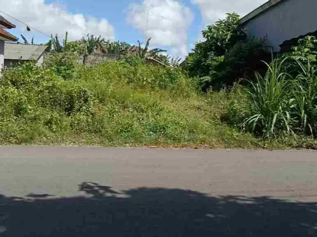 dijual tanah 2,32 are IDR 750 juta per are dikampus unud jimbaran Kuta Selatan Badung Bali - Image 1 of 6