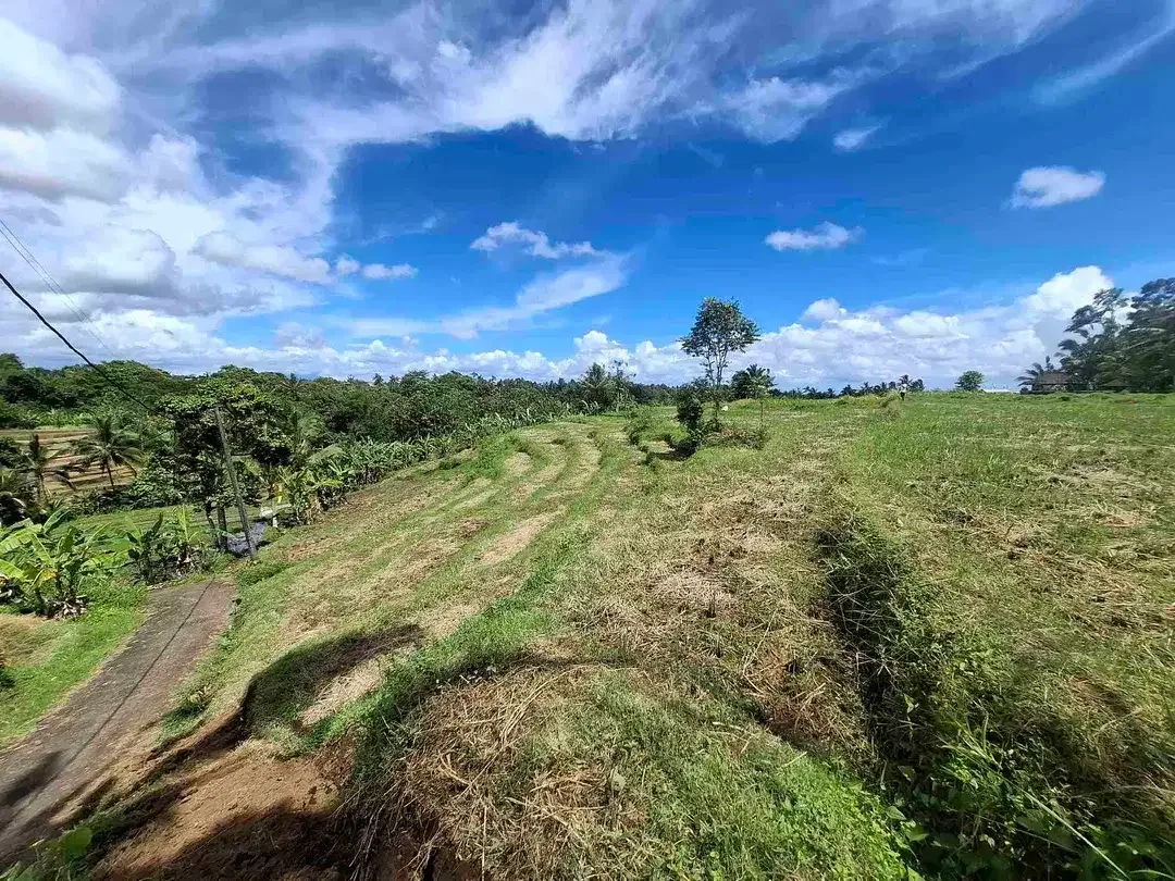 dijual tanah sawah view 5 gunung di bali - Image 5 of 10