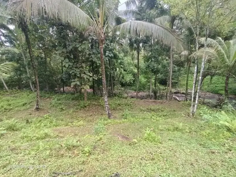 Tanah View Sawah dan Sungai dekat Villa Bali Lush dan Green Retreat - Image 6 of 10