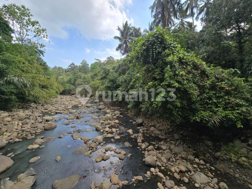 Dijual Tanah Murah Los Sungai Cantik di Tabanan Bali - Image 2 of 4