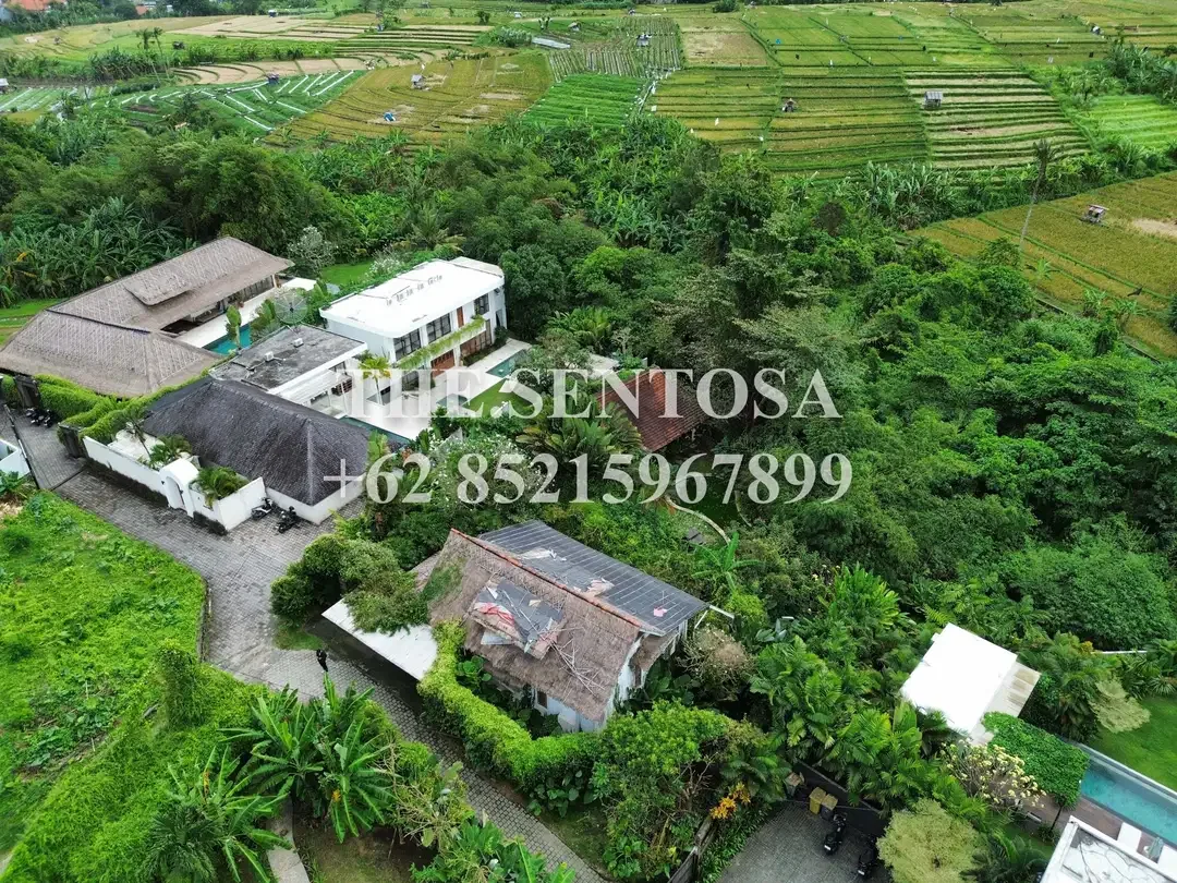TANAH CANGGU LINGKUNGAN MEWAH VIEW SAWAH MURAH - Image 4 of 8
