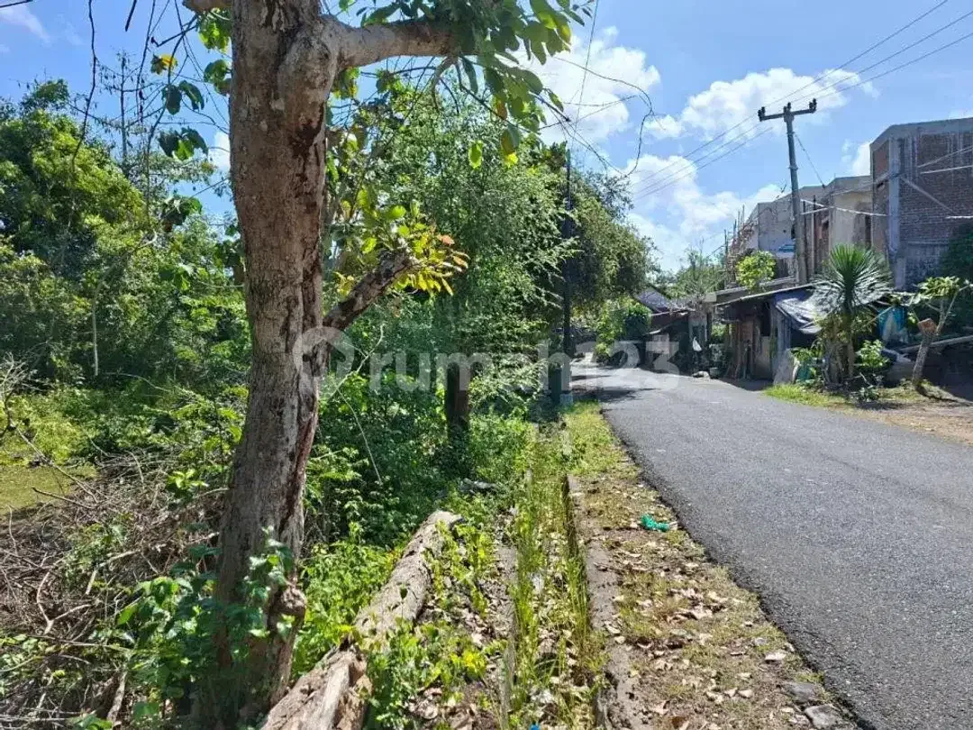 Dijual Tanah Kavling Plot Kecil di Ungasan - Image 4 of 8