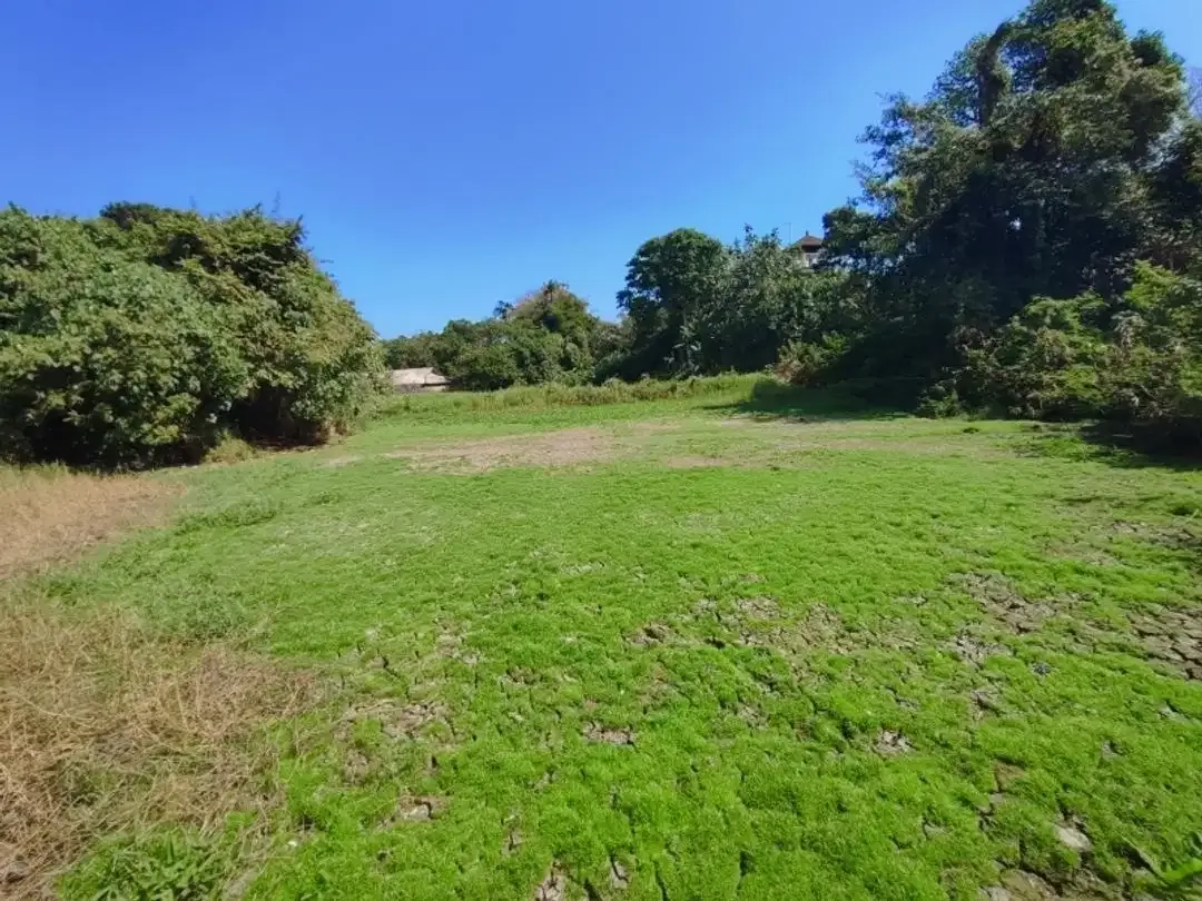 Tanah Dijual Cepat Dekat Pantai Yeh Gangga - Image 2 of 10