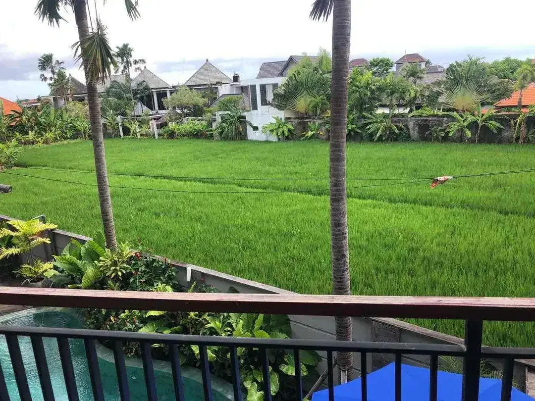 For sale guest house at tegal cupek kerobokan bali - Image 6 of 10