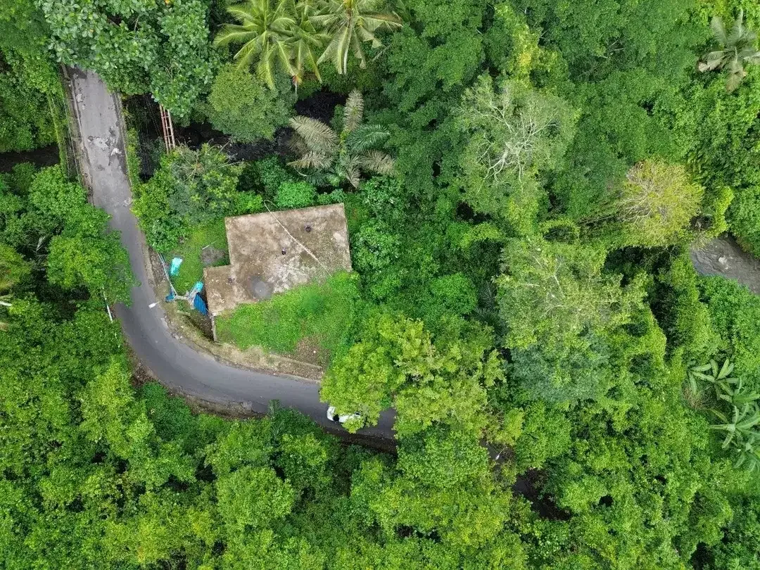 Premium Freehold Land for Sale - Prime Commercial Location in Ubud Center - Image 3 of 10