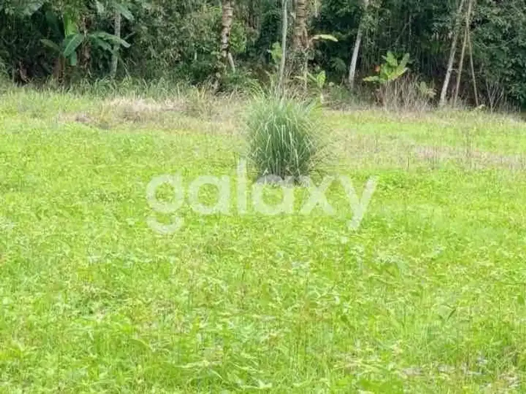 DIJUAL TANAH DAERAH PETANG BADUNG BALI - Image 6 of 9