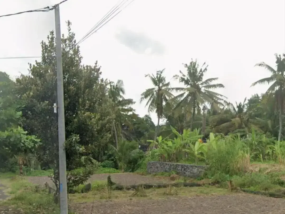 BUC 2 Are Lingkungan Villa di Saba Gianyar - Image 6 of 6