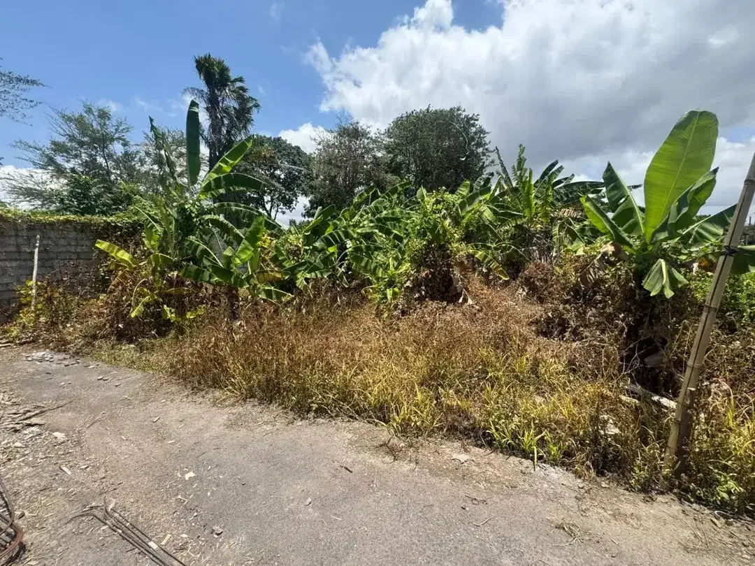 JUAL TANAH LANGKA DI SANUR - Image 4 of 5