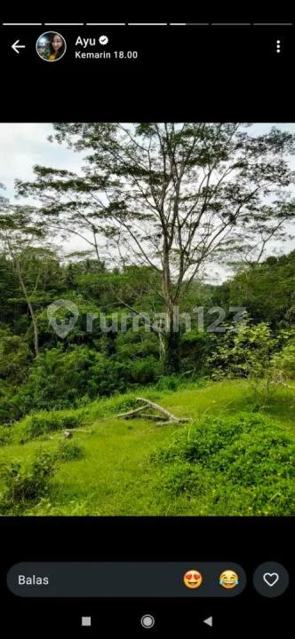 Tanah View Lembah Sungai Hutan Airterjun untuk Resort - Image 1 of 4