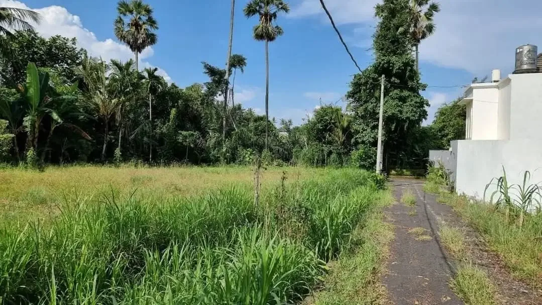 Jual tanah 17,5 are pantai saba cocok villa - Image 4 of 10