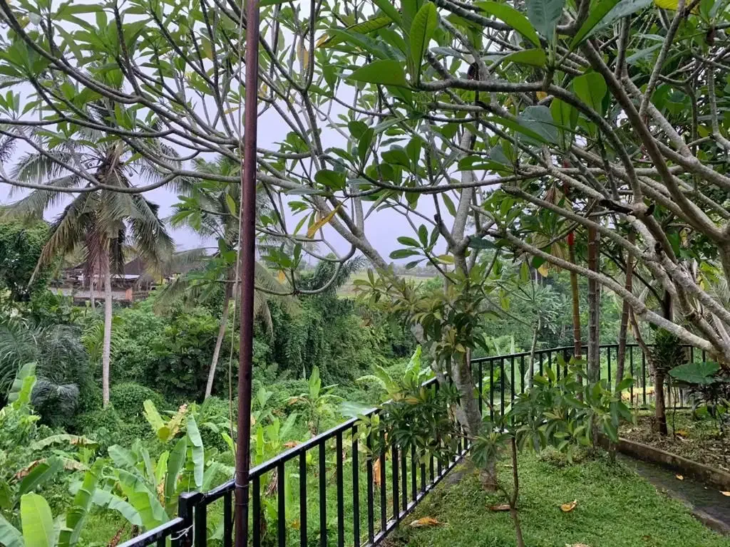 TANAH VIEW SAWAH DAN SUNGAI JALAN UTAMA UBUD - Image 3 of 5