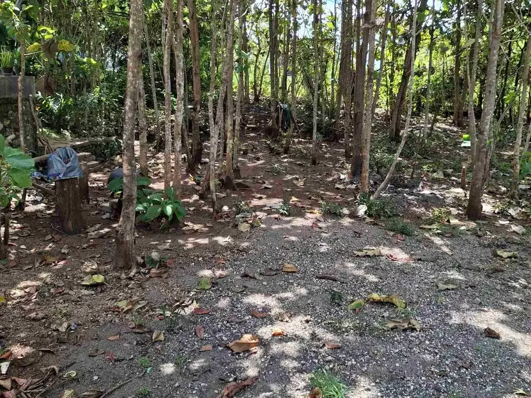 Cari Tanah di Bali? Pilih yang Murmer di Kutuh, Area Favorit Expat! - Image 2 of 6