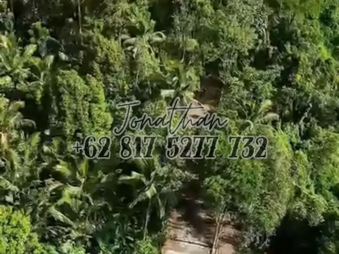 Dijual Tanah Riverside Premium Keliki Ubud Bali Dekat Capella Ubud - Image 3 of 6