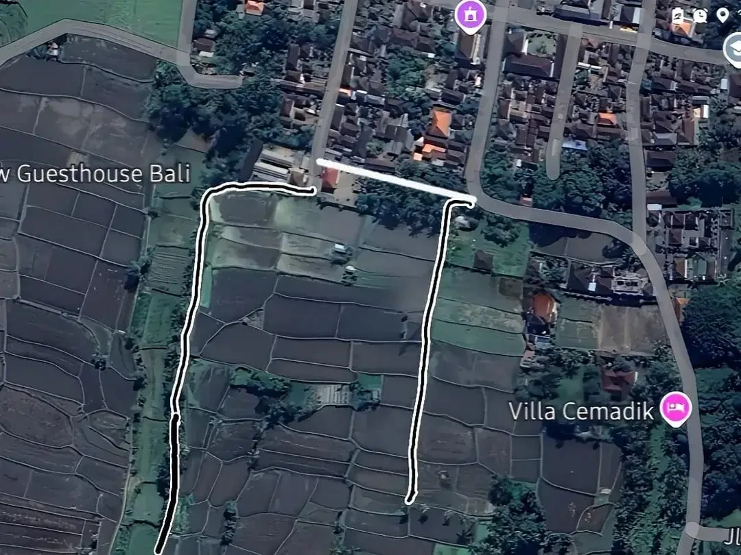 Dijual Murah Tanpa Perantara, Langsung dengan Pemilik, Tanah Sawah di Pejeng Kangin, Tampaksiring, Gianyar Bali - Image 2 of 8