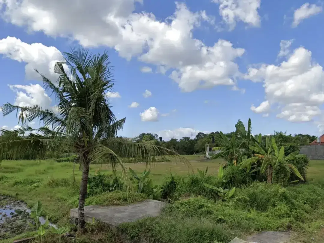 Land for sale in Kaba Kaba, Bali - Image 2 of 6