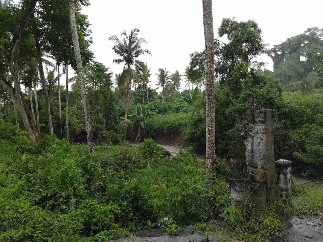 Tanah Strategis Luas Lingkungan Asri di Antap Tabanan - Image 5 of 8
