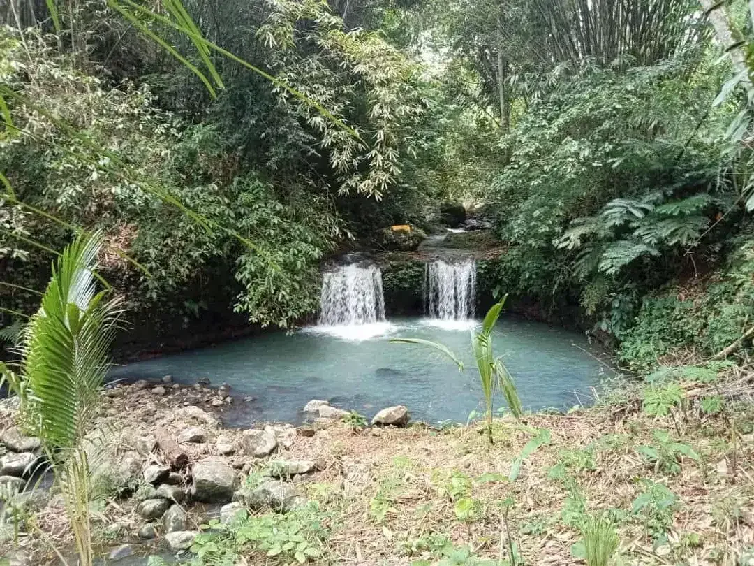 Tanah Tepi Air Terjun Wisata Gunung Salak Selemadeg Tabanan Bali - Image 7 of 9