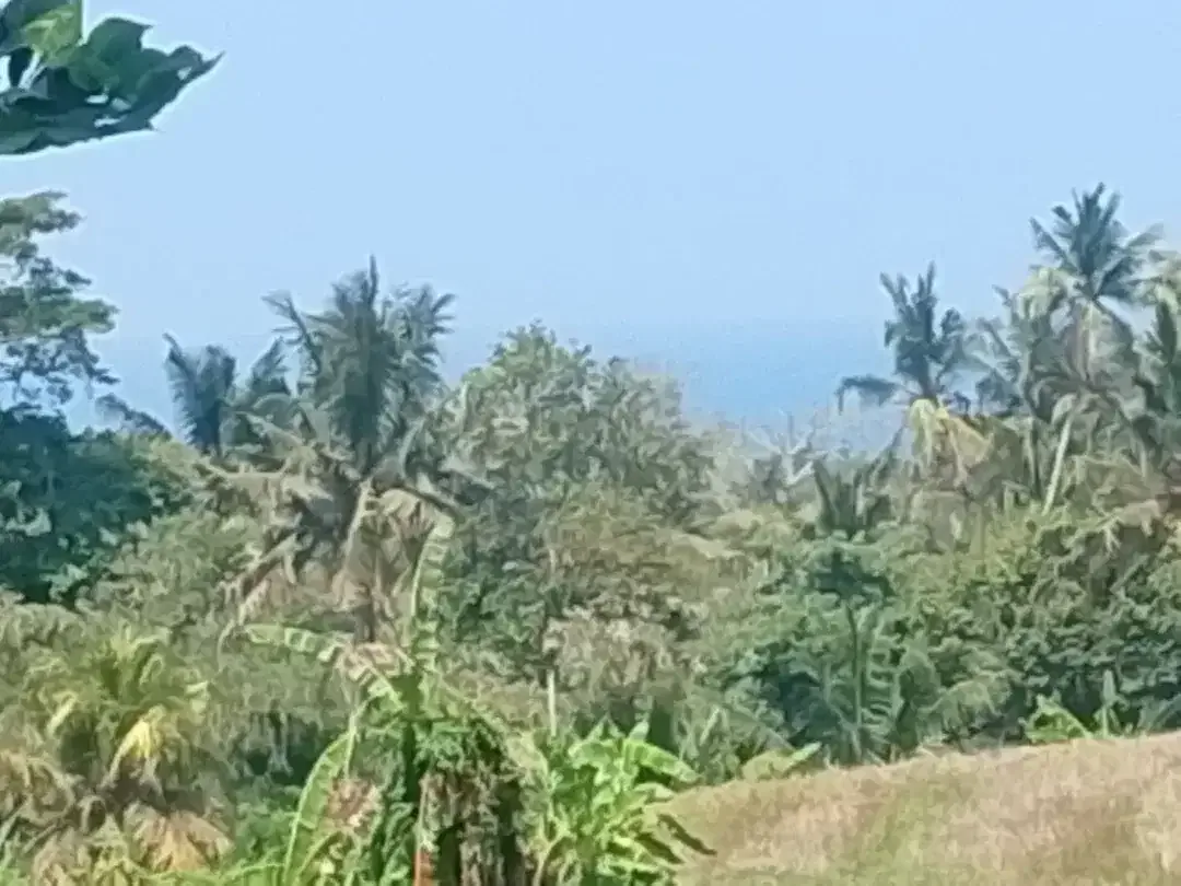DIJUAL TANAH STRATEGIS – ANTAP, SELEMADEG, TABANAN - Image 2 of 8