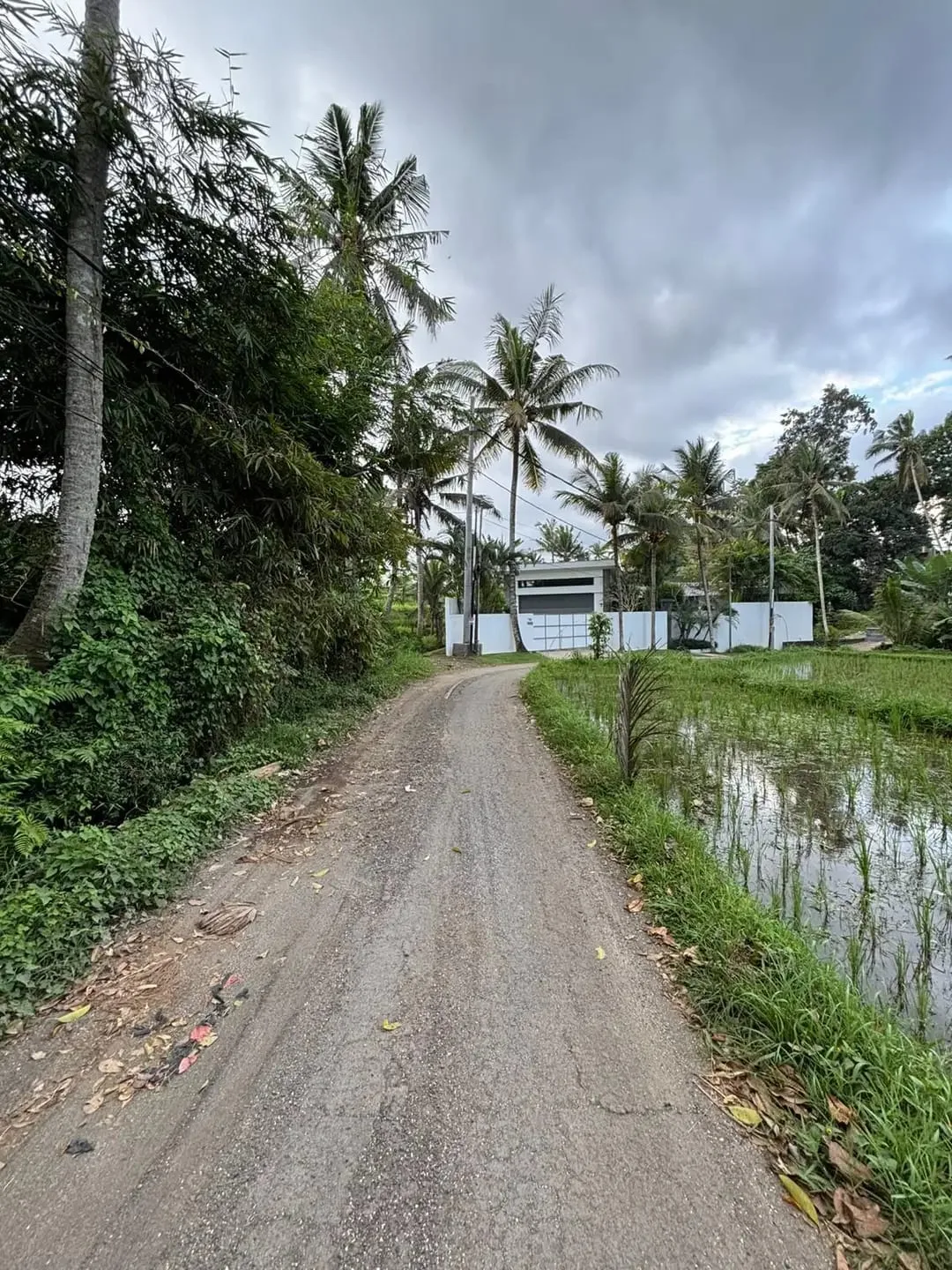 Tanah View Sawah Indah di Singakerta Ubud Bali - Image 3 of 8