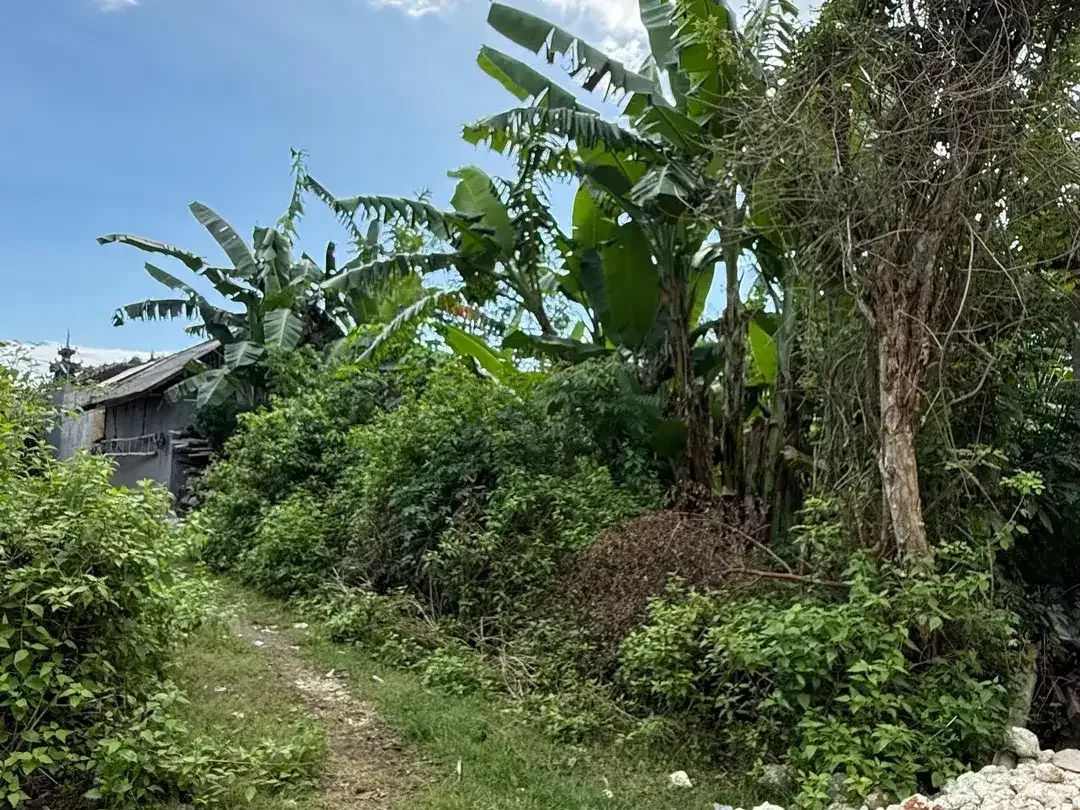 Dijual Tanah 250m2 Lokasi Di Area Dekat GWK Bali - Image 4 of 8
