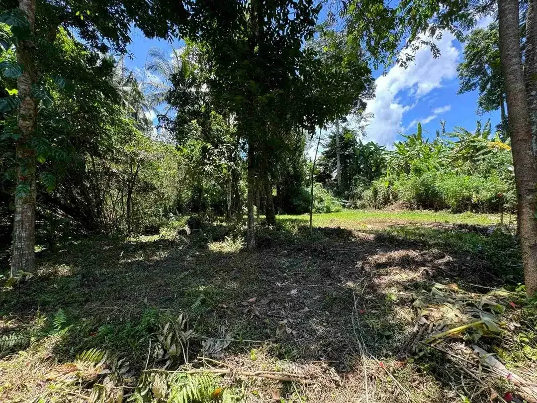 Siap Bangun Vila, Tanah Datar View Sawah di Ubud Gianyar - Image 9 of 10