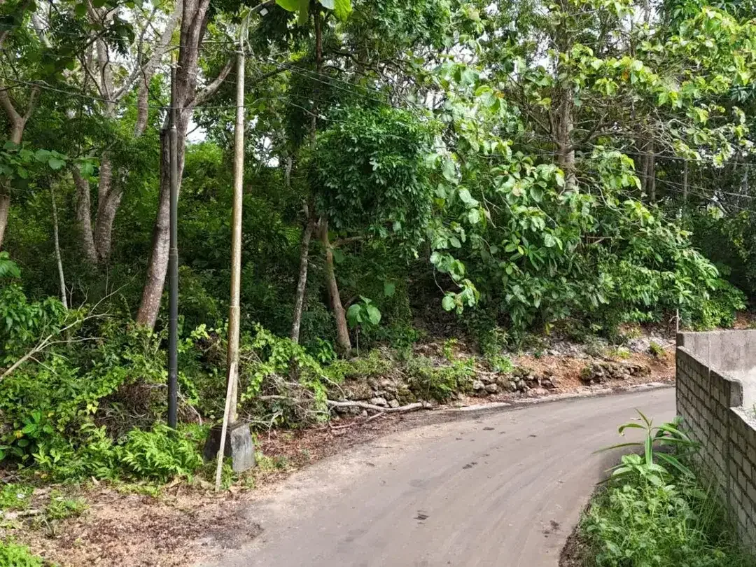 Tanah Strategis Dekat Tebing Pantai di Uluwatu Bali - Image 10 of 10