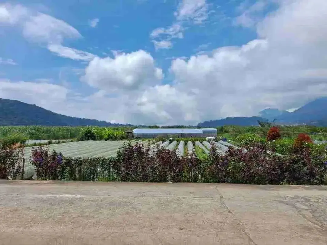 Jual Tanah Pinggir Danau, Tabanan, Bali - Image 4 of 4